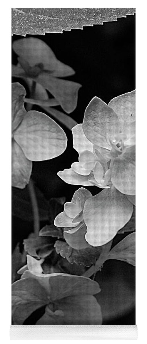 Black And White Photographs Yoga Mat featuring the digital art Magnolia Plantation and Gardens Collection #3 by DigiArt Diaries by Vicky B Fuller