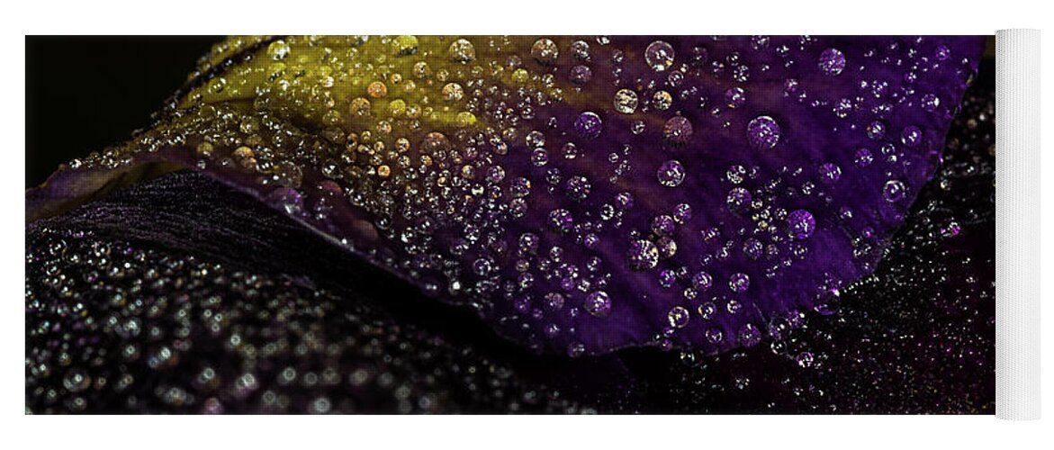 Jay Stockhaus Yoga Mat featuring the photograph Purple and Yellow #3 by Jay Stockhaus
