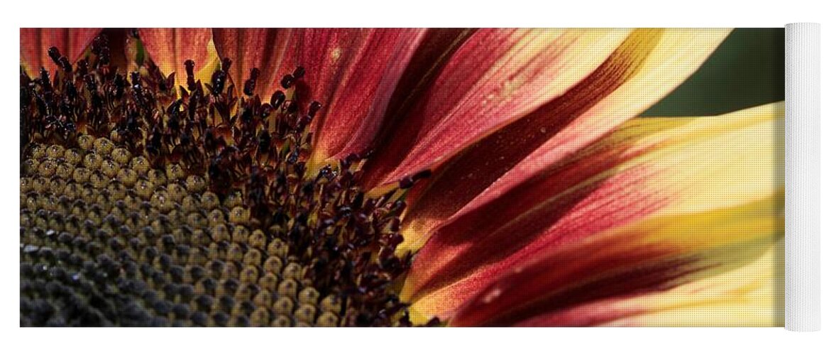Mccombie Yoga Mat featuring the photograph Sunflower named Ruby Eclipse #3 by J McCombie