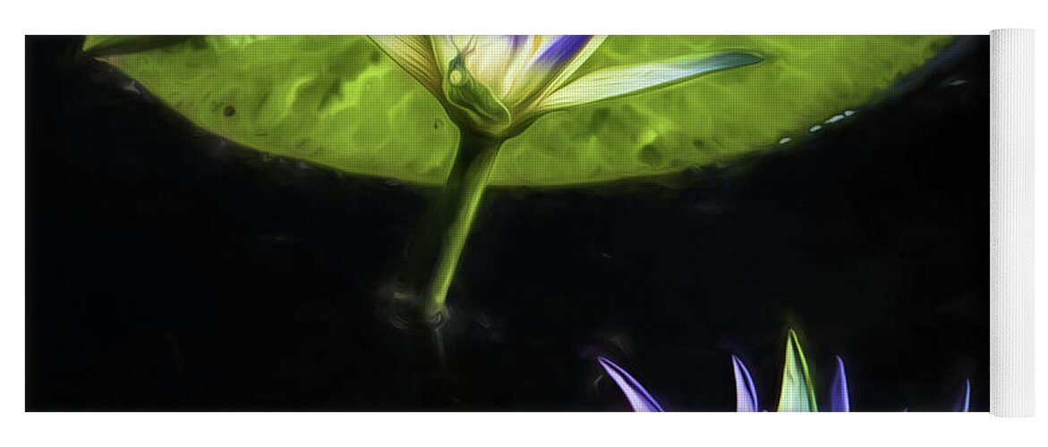 Water Lilies Yoga Mat featuring the photograph Water Lilies #3 by John Freidenberg