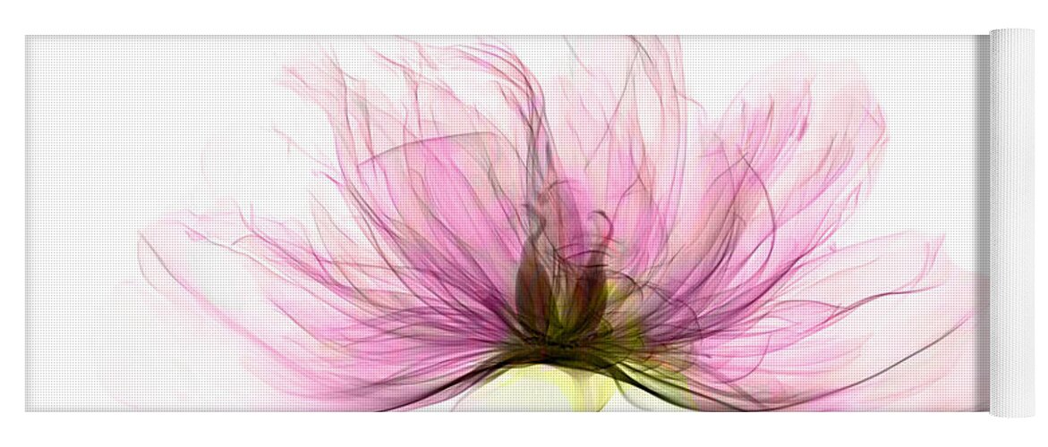 Xray Yoga Mat featuring the photograph X-ray Of Peony Flower by Ted Kinsman