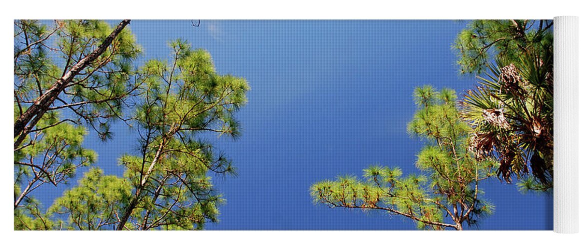  Cypress Trees Yoga Mat featuring the photograph 4- Cypress Trees by Joseph Keane