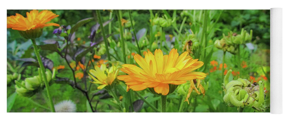 Flower Yoga Mat featuring the photograph Garden #4 by Cesar Vieira
