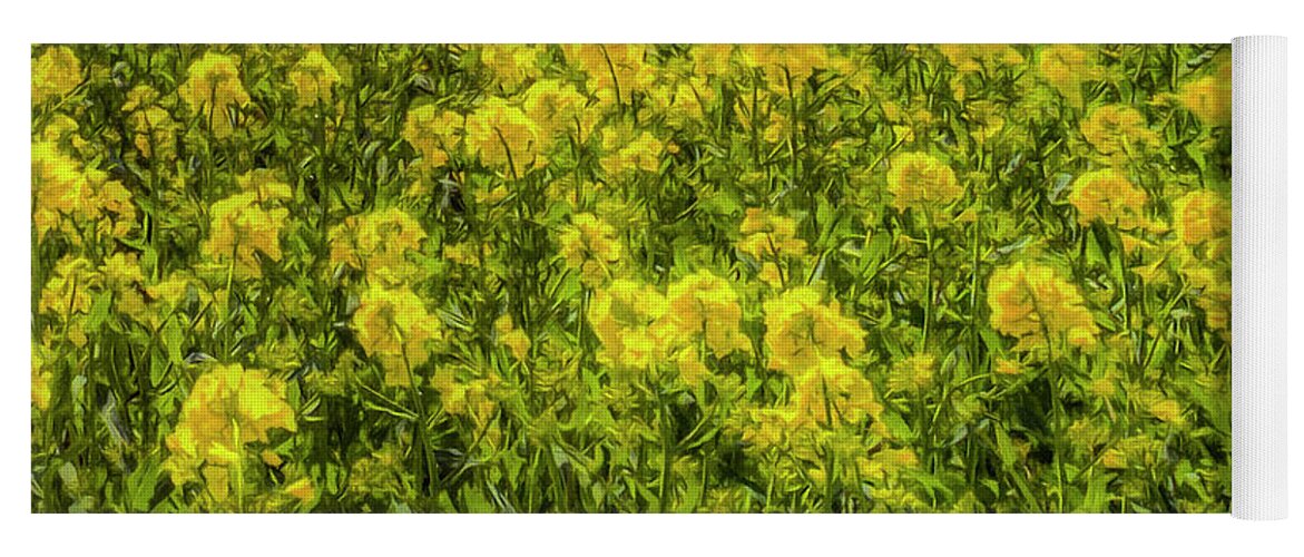 Summer Yoga Mat featuring the photograph Yellow Fields Of Summer Art #4 by David Pyatt