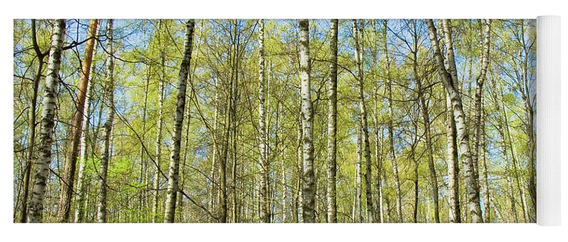 Landscape Yoga Mat featuring the photograph Birch forest in spring #5 by Irina Afonskaya