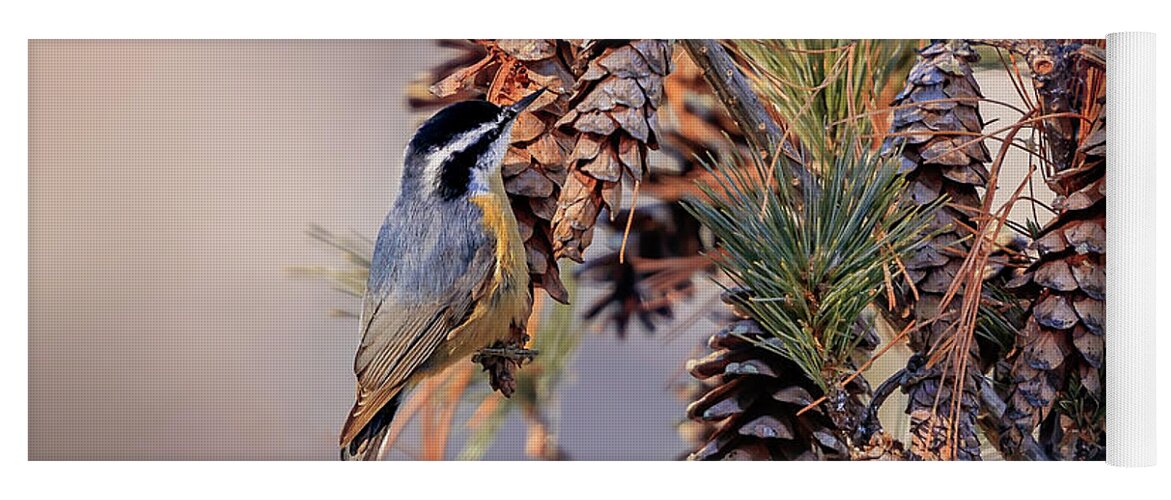 Adorable Yoga Mat featuring the photograph Black-capped Chickadee #5 by Peter Lakomy