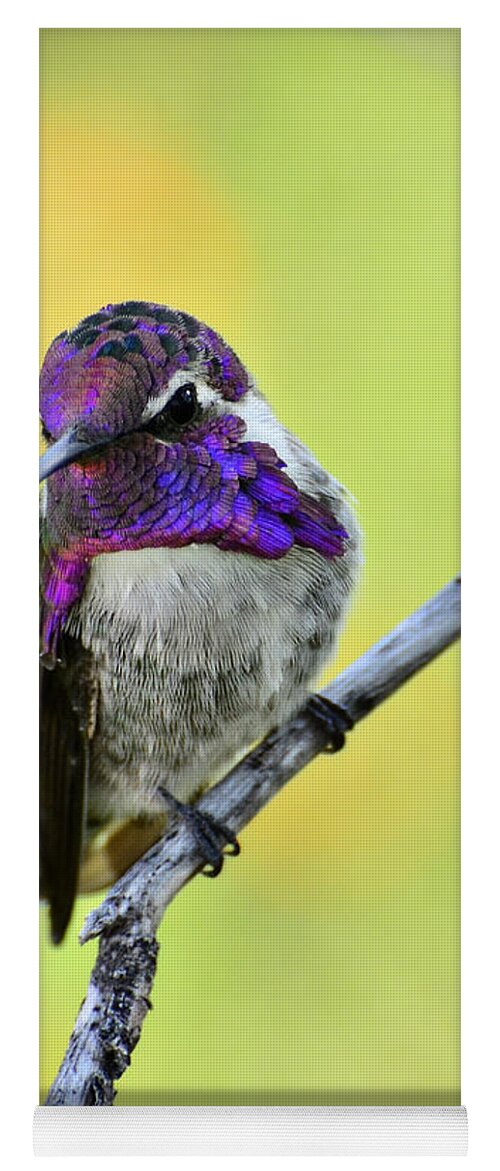 Costas Hummingbird Yoga Mat featuring the photograph Costas Hummingbird #5 by Saija Lehtonen