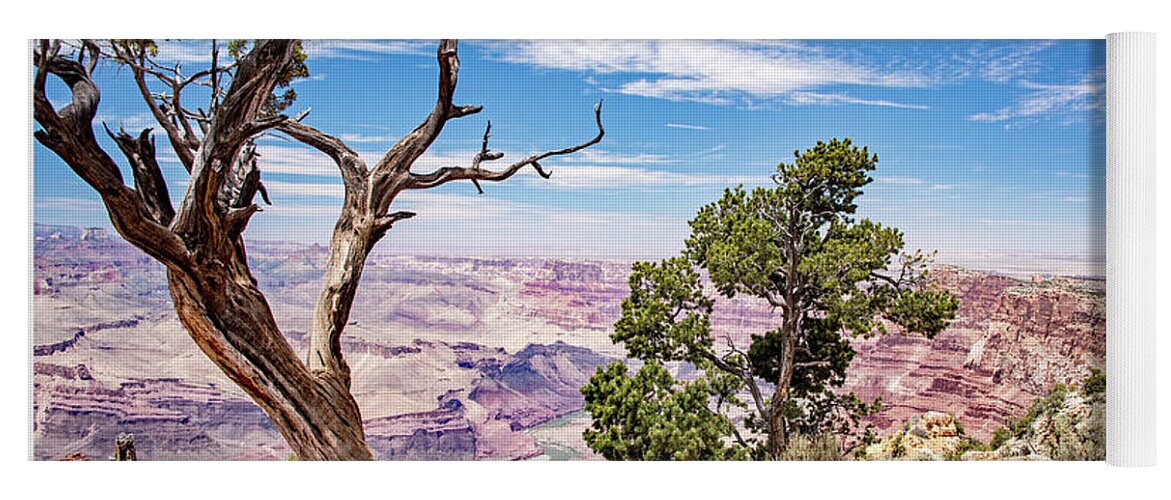 Grand Canyon Yoga Mat featuring the photograph Grand Canyon, Arizona #5 by A Macarthur Gurmankin