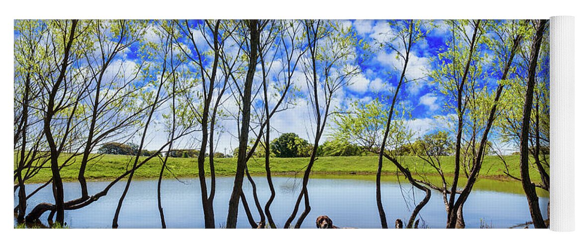 Austin Yoga Mat featuring the photograph Texas Hill Country #5 by Raul Rodriguez
