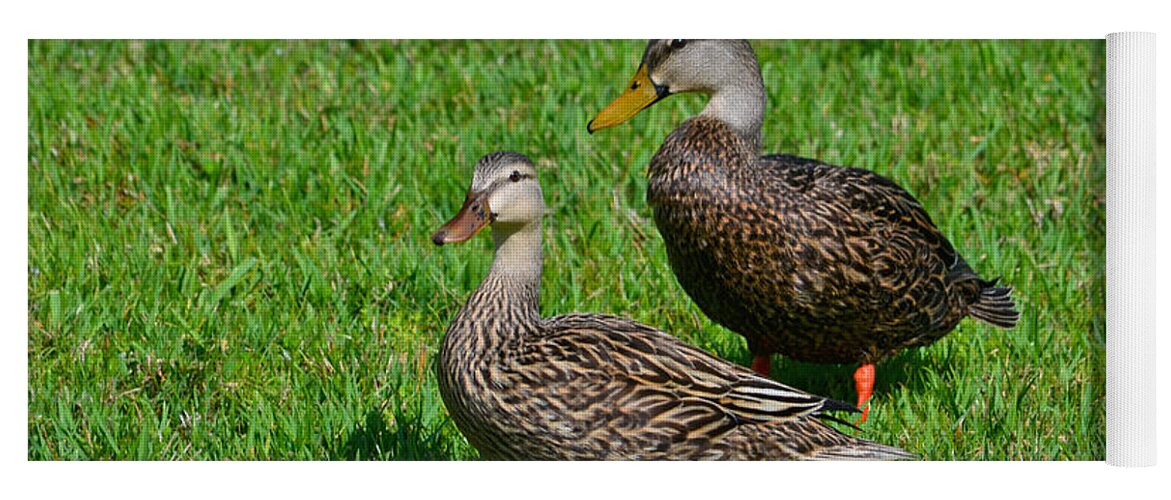 Mottled Ducks Yoga Mat featuring the photograph 6- Mottled Ducks by Joseph Keane