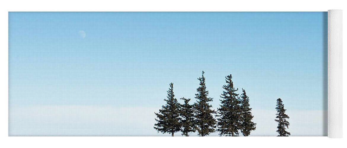 Pines Yoga Mat featuring the photograph 6 Pines And The Moon by Troy Stapek