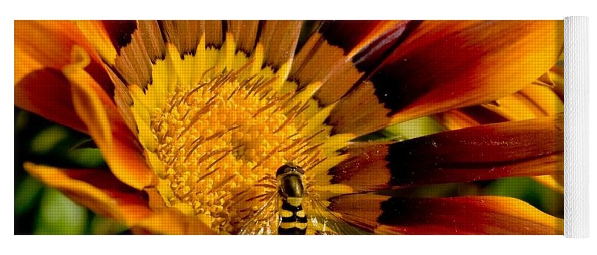 Bee Yoga Mat featuring the photograph Bee #7 by Mariel Mcmeeking
