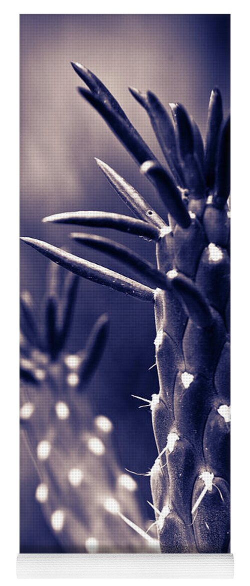 Cactus Yoga Mat featuring the photograph Textures of Arizona #6 by John Magyar Photography