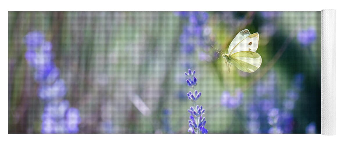 Animal Yoga Mat featuring the photograph Pieris brassicae, the large white, also called cabbage butterfly #8 by Amanda Mohler