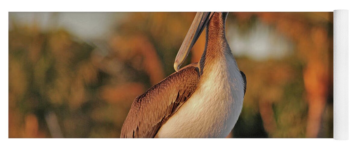  Pelican Yoga Mat featuring the photograph 9- Brown Pelican by Joseph Keane