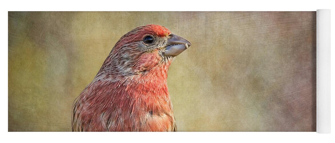 Carpodacus Yoga Mat featuring the photograph A Finch With Flair by Bill and Linda Tiepelman