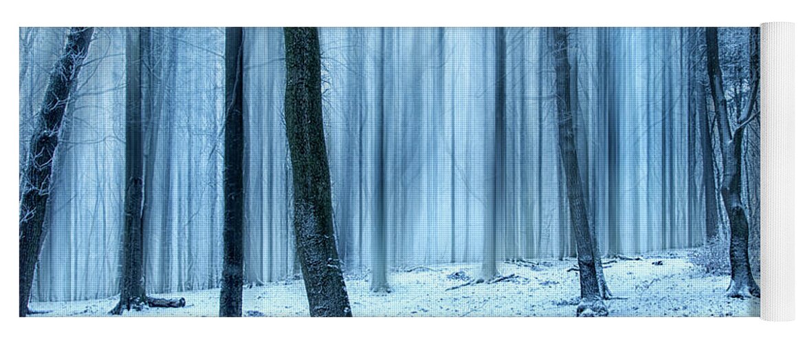 Forest Yoga Mat featuring the photograph A Forest in Winter by David Lichtneker