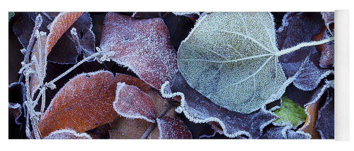 Leaves Yoga Mat featuring the photograph A Frosty November Morning by Mike Eingle