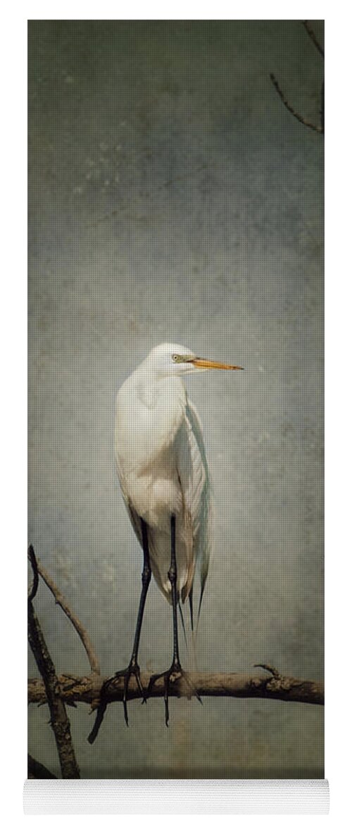 Great Egret Yoga Mat featuring the photograph A Great Egret by Al Mueller