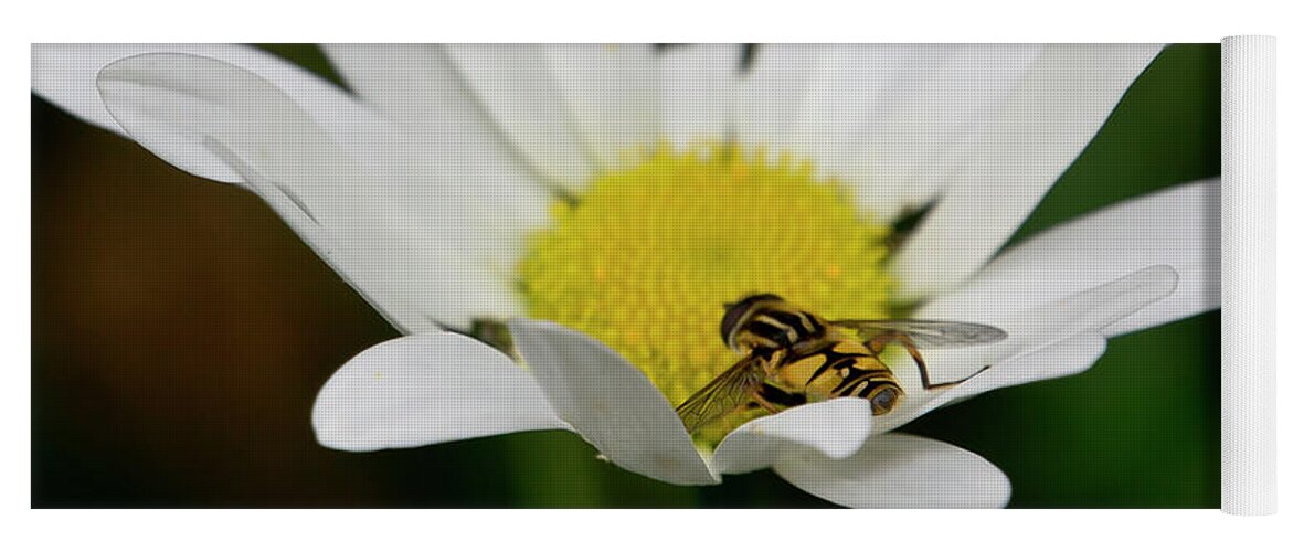 Nature Yoga Mat featuring the photograph A Hoverfly and a Daisy by Elena Perelman