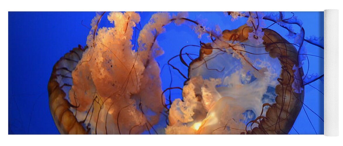 Jellyfish Yoga Mat featuring the photograph A Jellyfish Fight by Eileen Brymer
