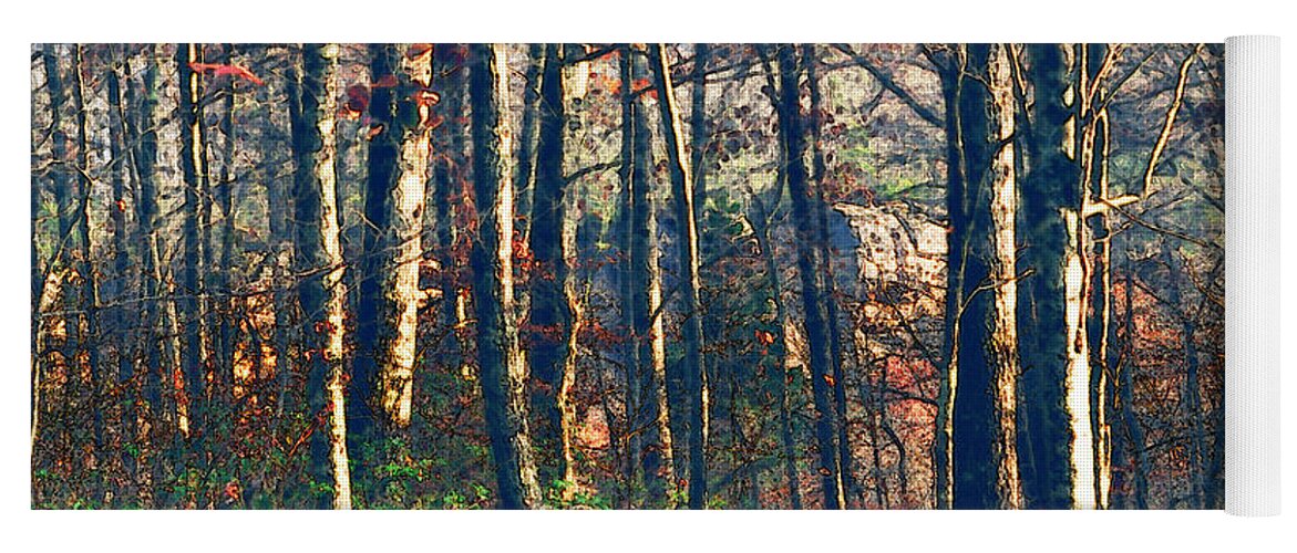 Nature Yoga Mat featuring the photograph A late Autumn Walk in the Woods by Stacie Siemsen