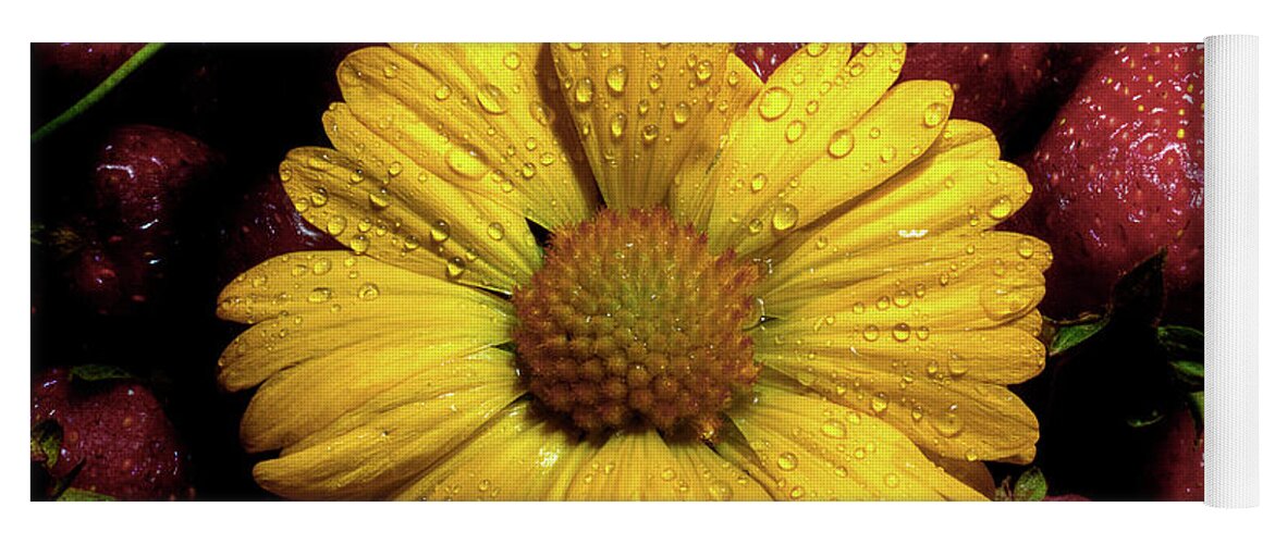 Daisy Yoga Mat featuring the photograph A Little Sunshine In The Morning by Michael Eingle