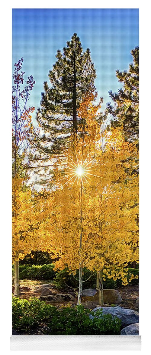 Autumn Yoga Mat featuring the photograph Aspen Colors by Maria Coulson