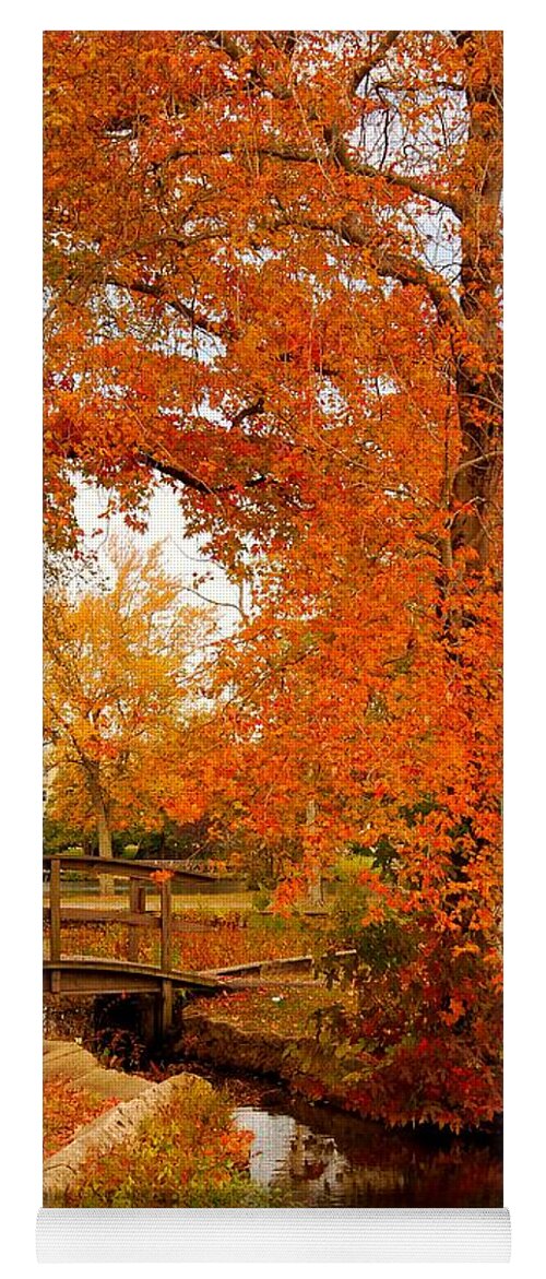 New Jersey Yoga Mat featuring the photograph A Morning In Autumn - Lake Carasaljo by Angie Tirado