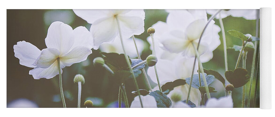 Photography; Ivy Ho; Angsanaseeds; Photograph; Flowers; Floral; Flora; Royal Garden; White Anemones Yoga Mat featuring the photograph A New Day by Ivy Ho