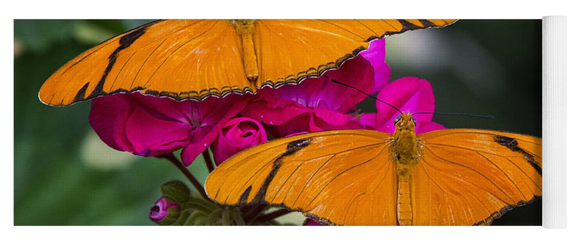 Julia Butterfly Yoga Mat featuring the photograph A Perfect Pair by Saija Lehtonen