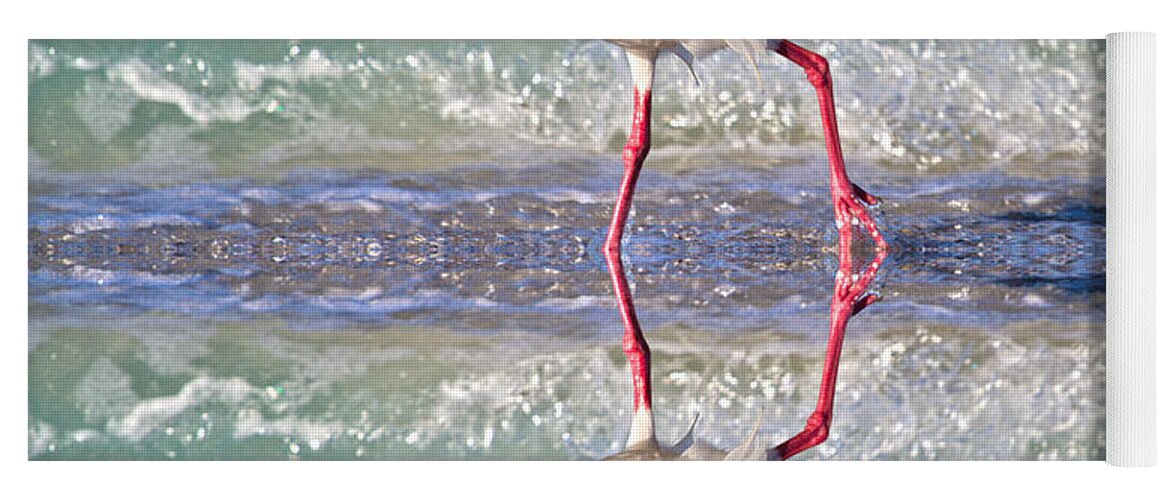 Ibis Yoga Mat featuring the photograph A Reflective Walk by Betsy Knapp