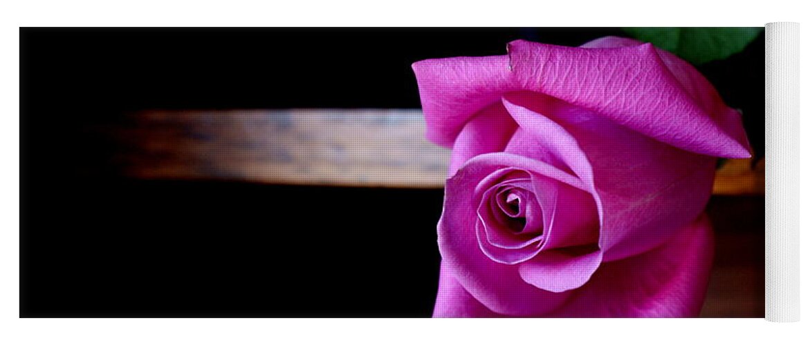 Rose Yoga Mat featuring the photograph A Single Rose by Jo Smoley