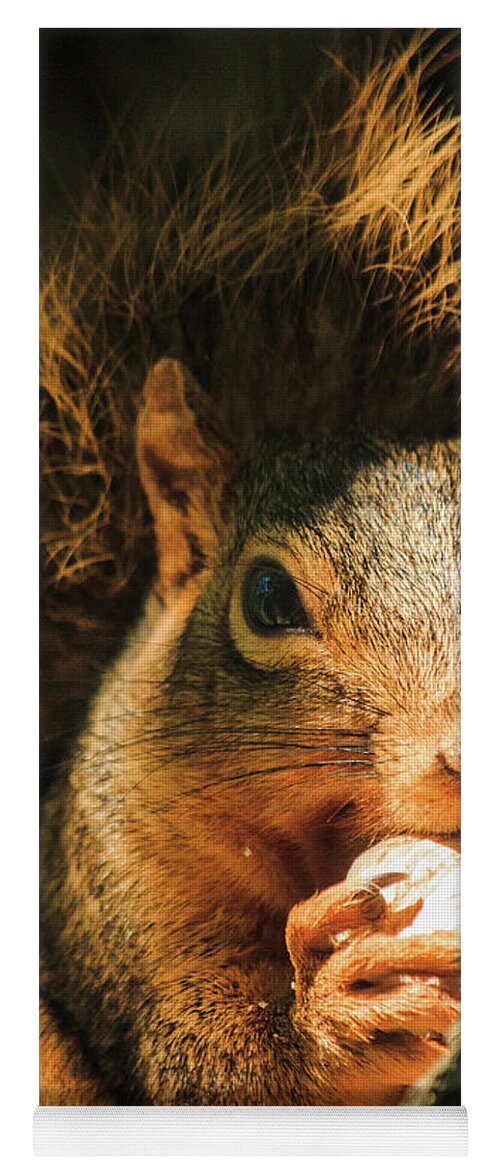 Illinois Yoga Mat featuring the photograph A Squirrel and his Nut by Joni Eskridge