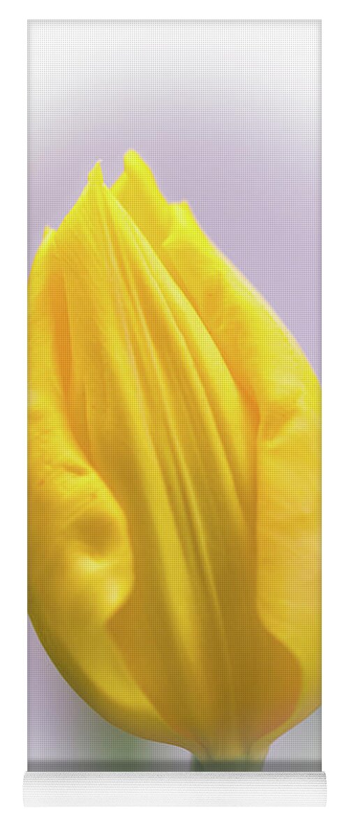 Tulip Yoga Mat featuring the photograph A Tulip in Dandelion Yellow by Carol Senske