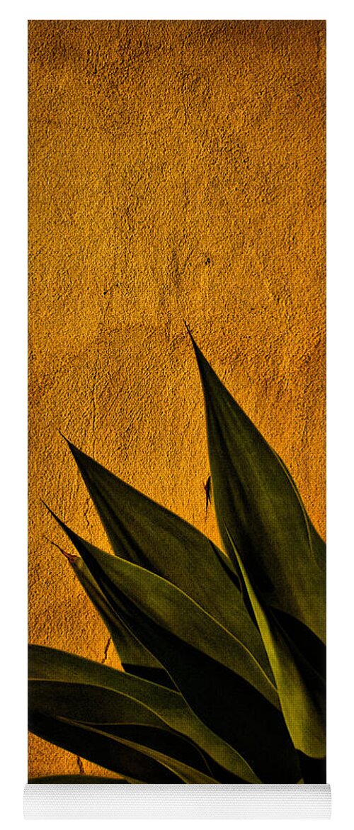 Agave Yoga Mat featuring the photograph Adobe and Agave at Sundown by Chris Lord