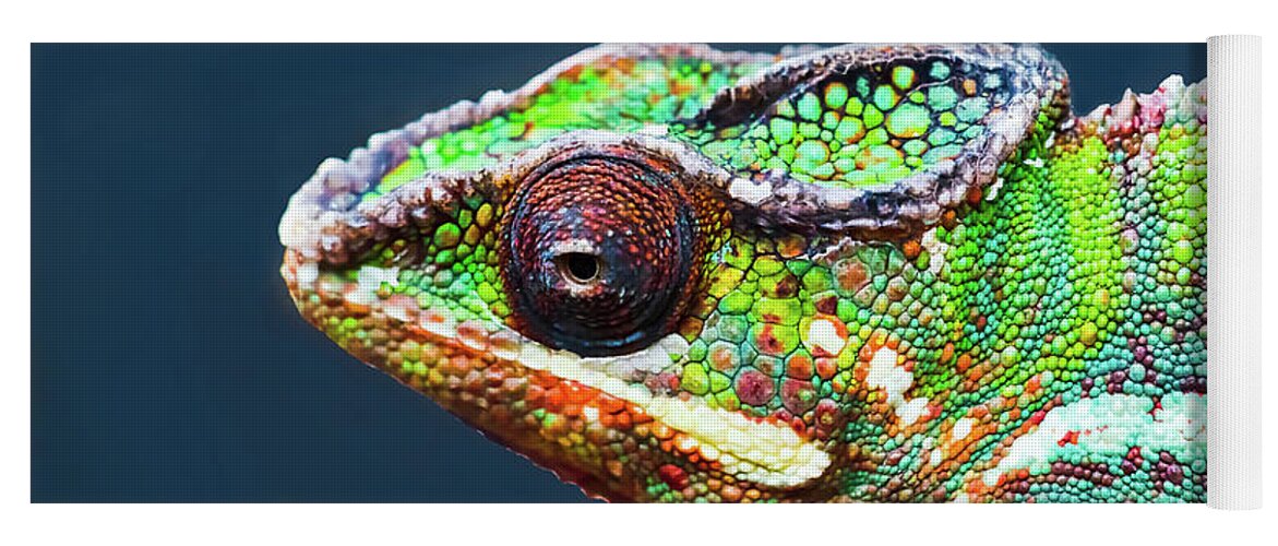 African Chameleon Yoga Mat featuring the photograph African Chameleon by Richard Goldman