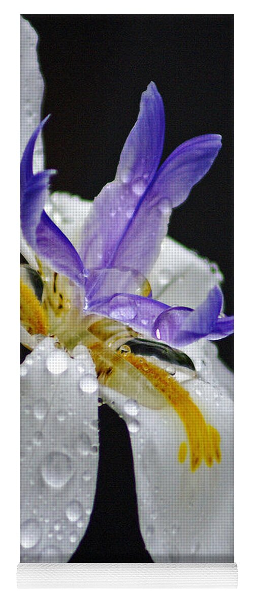 Flowers Yoga Mat featuring the photograph African Iris by Holly Kempe