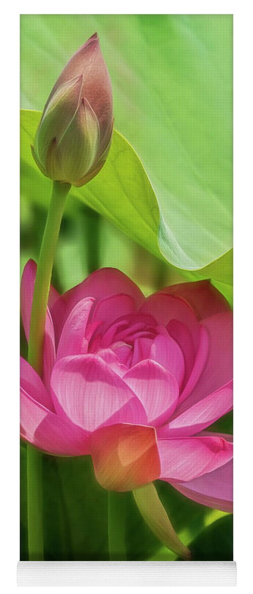 Lotus Yoga Mat featuring the photograph Afternoon Sun on Lotus by Erika Fawcett