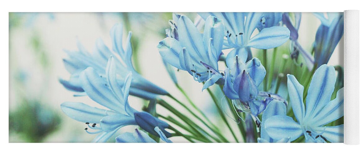 Blue Yoga Mat featuring the photograph Agapanthus 2 by Cindy Garber Iverson