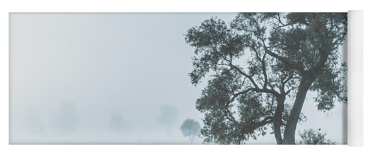 Aleena Yoga Mat featuring the photograph Alleena winter landscape by Jorgo Photography