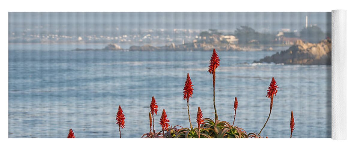 Aloe Yoga Mat featuring the photograph Aloe Over Monterey by Derek Dean