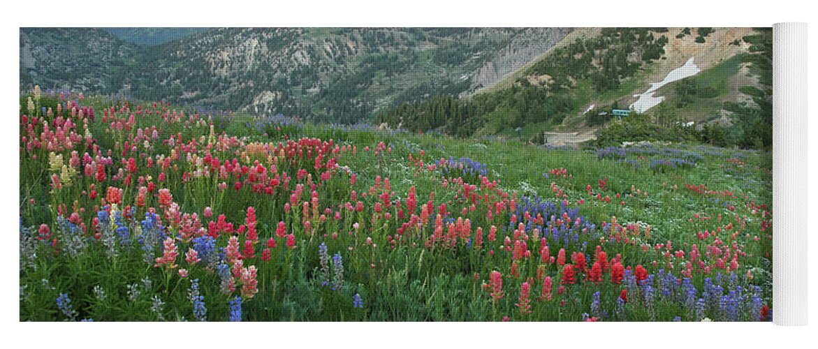 Landscape Yoga Mat featuring the photograph Alpine Wildflowers and View at Sunset by Brett Pelletier