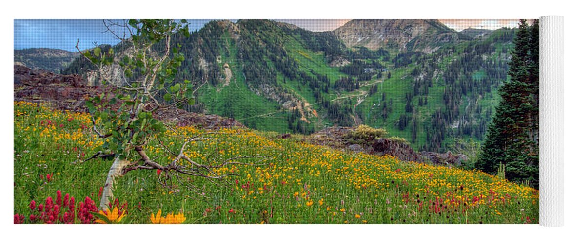 Wildflower Yoga Mat featuring the photograph Alta Wildflowers and Sunset by Brett Pelletier