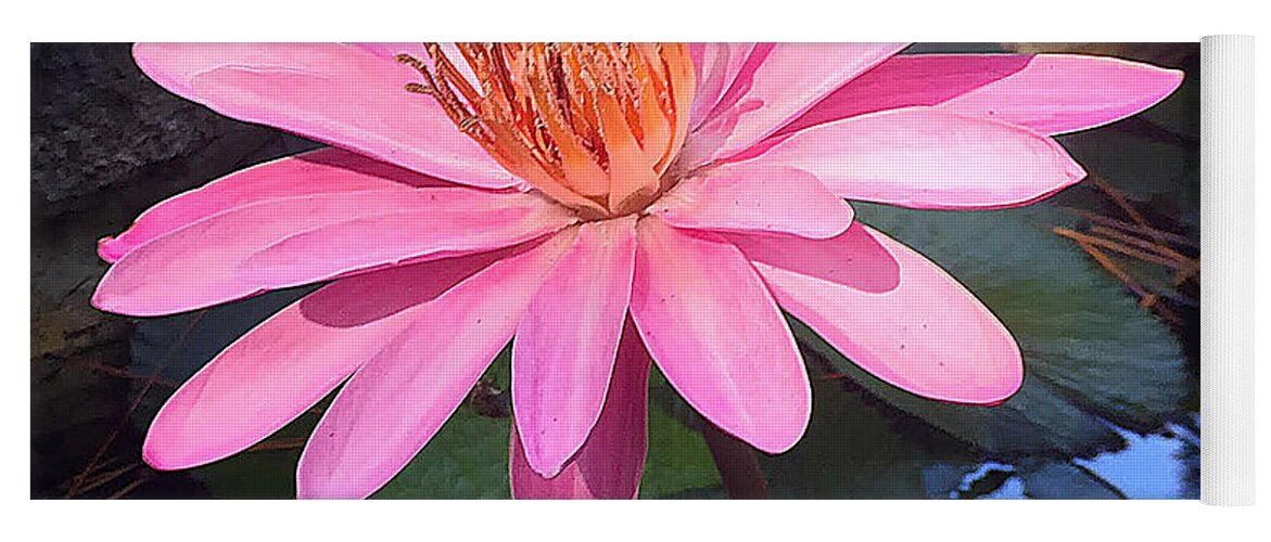 St. Augustine Yoga Mat featuring the photograph Full Bloom by LeeAnn Kendall