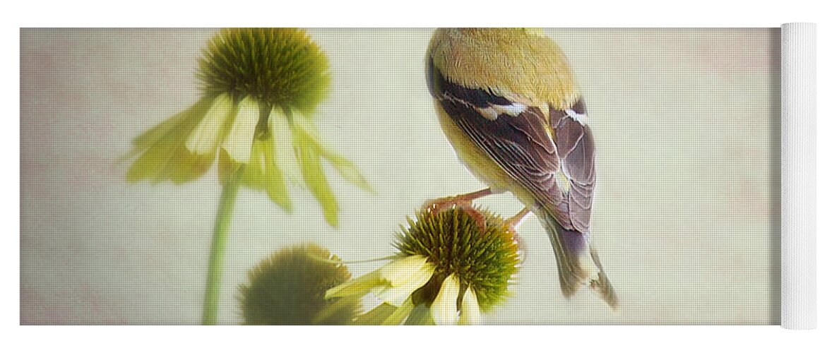Nature Yoga Mat featuring the photograph American Goldfinch On Coneflower by Sharon McConnell