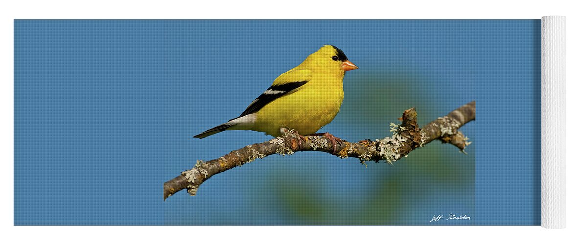 American Goldfinch Yoga Mat featuring the photograph American Goldfinch Perched in a Tree by Jeff Goulden