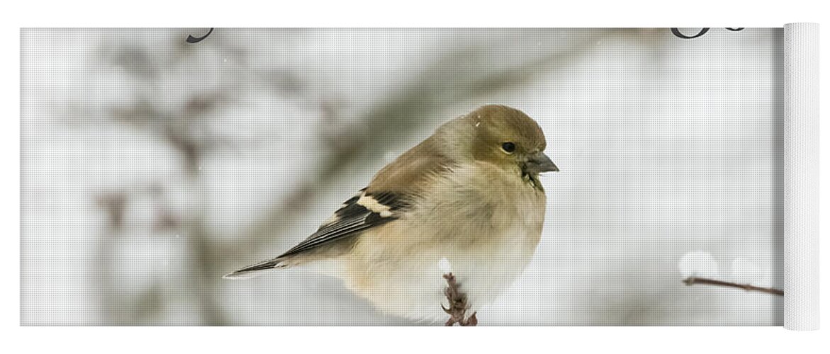 American Goldfinch Yoga Mat featuring the photograph American Goldfinch - Season's Greetings by Holden The Moment