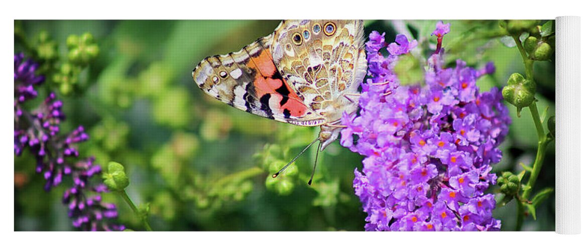 Painted Lady Butterfly Yoga Mat featuring the photograph Painted Lady Butterfly in July by Karen Adams