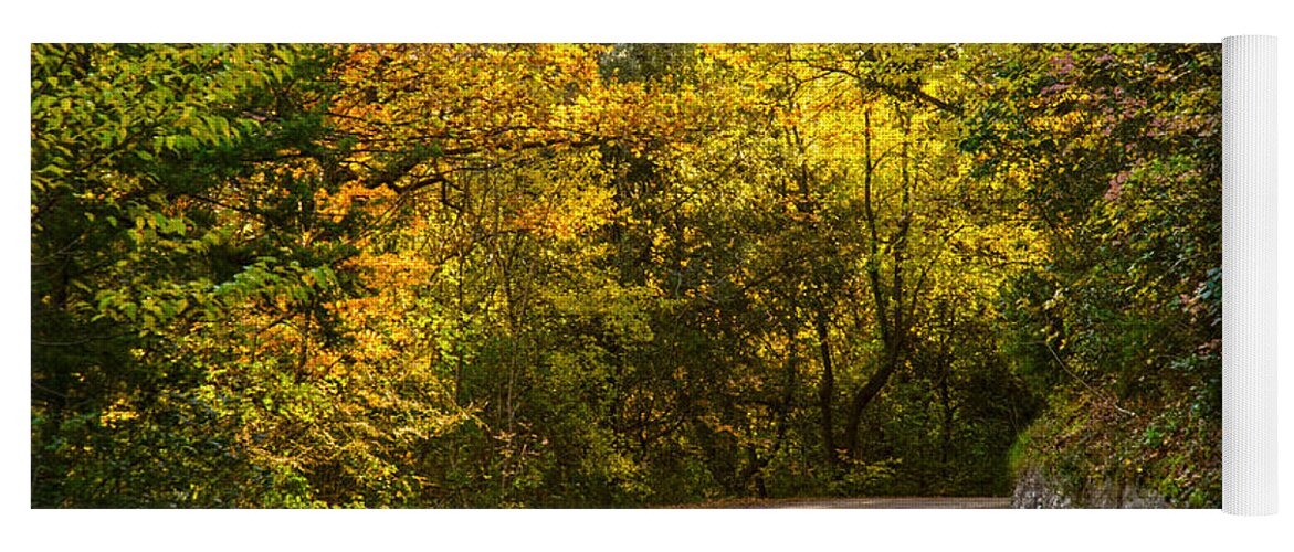 Fall Yoga Mat featuring the photograph An autumn landscape - HDR 2 by AM FineArtPrints